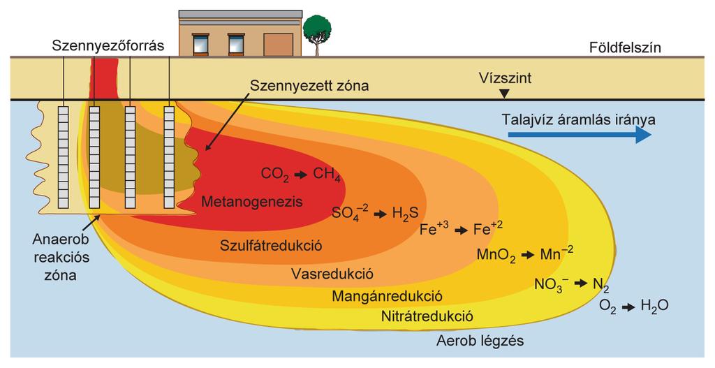 Irodalmi áttekintés 2.3.1.2. Klórozott alifás szénhidrogének biodegradációja A klórozott etilének közül a PCE, TCE mikrobiológiai úton történő lebontása redukció útján lehetséges, a DCE és VC oxidatív (ún.