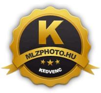 És hogy objektív is legyen az értékelésem: a Panasonic DC-G9 mindent tud, amit egy profi fényképezőgéptől elvárhatunk.