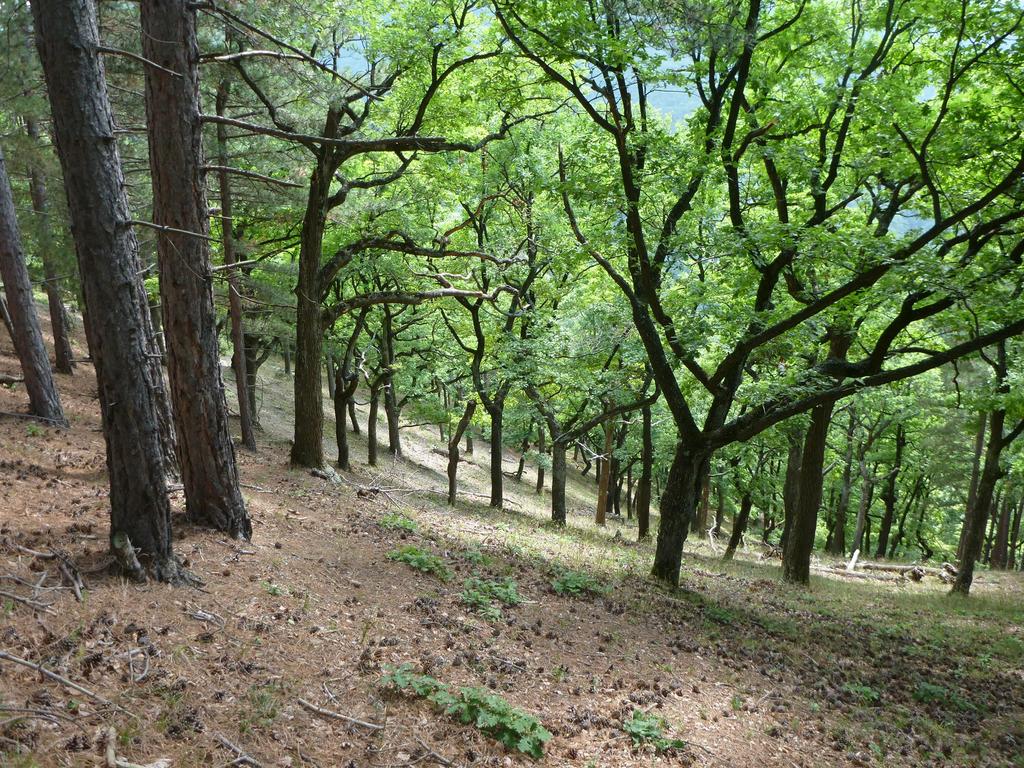 IV. A Natura 2000 hálózat kijelölésének alapjául