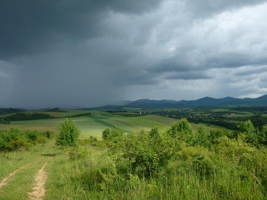 V. A Natura 2000