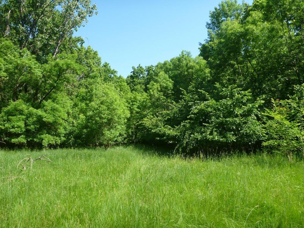 VII. A Natura 2000 hálózathoz kapcsolódó