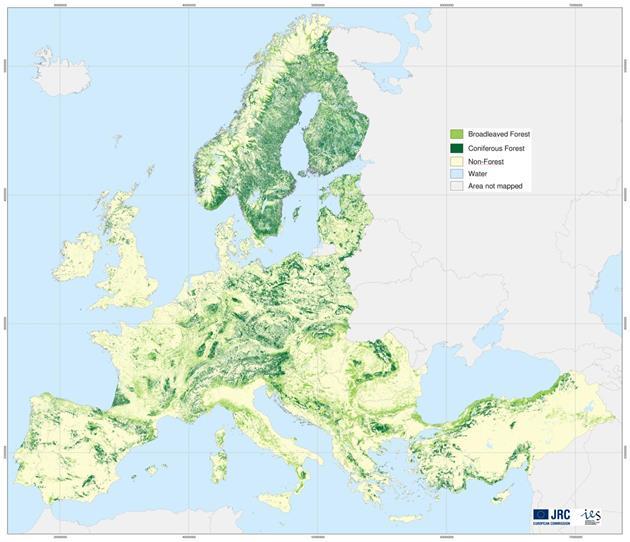 I. Az európai erdők
