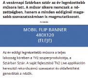 40 41) MOBIL MedIuM Banner ny / r  pozícióban futó hirdetés MéreT: 300 x 250 px 41 42) MOBIL flip Banner ny / r / C a CIKK