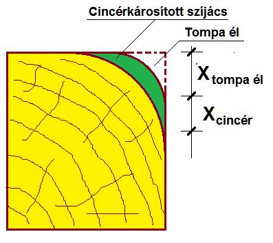 ezeket az esőcsendesítőket javaslom cserélni. A szarufák toldásai minden esetben két oldalról melléfogott pallóval lettek biztosítva. A megoldás általában két hibát is tartalmaz.
