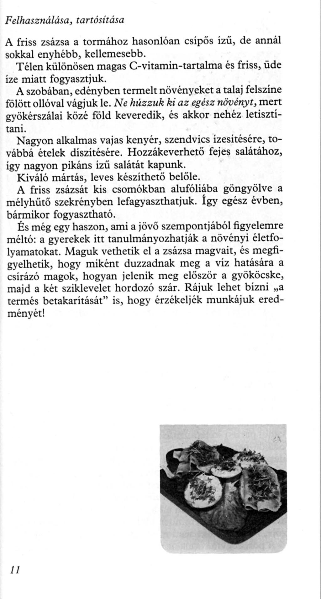 Felhasználása, tartósítása A friss zsázsa a tormához hasonlóan csípős ízű, de annál sokkal enyhébb, kellemesebb. Télen különösen magas C-vitamin-tartalma és friss, üde íze miatt fogyasztjuk.