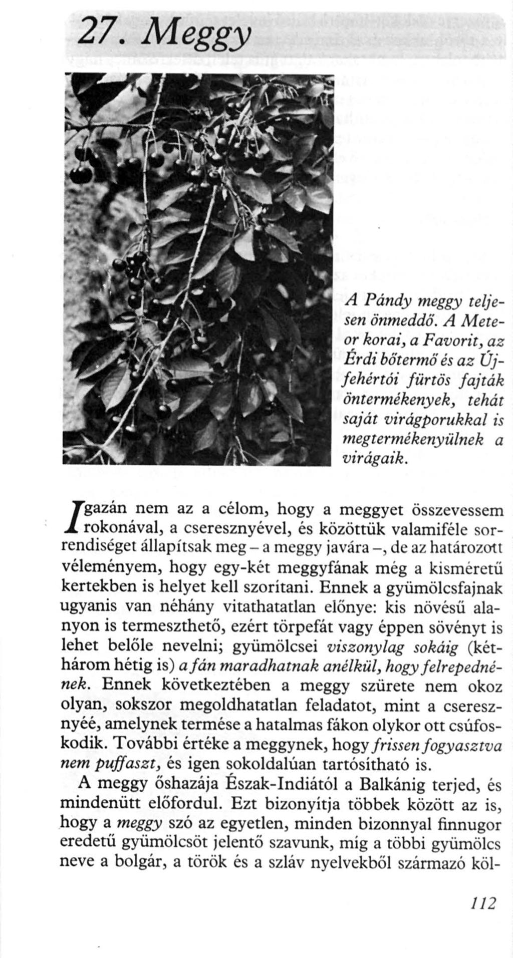 27. Meggy A Pándy meggy teljesen önmeddő. A Meteor korai, a Favorit, az Érdi bőte rmő és az Újfehértói fürtös fajták öntermékenyek, tehát saját virágporukkal is megtermékenyülnek a virágaik.