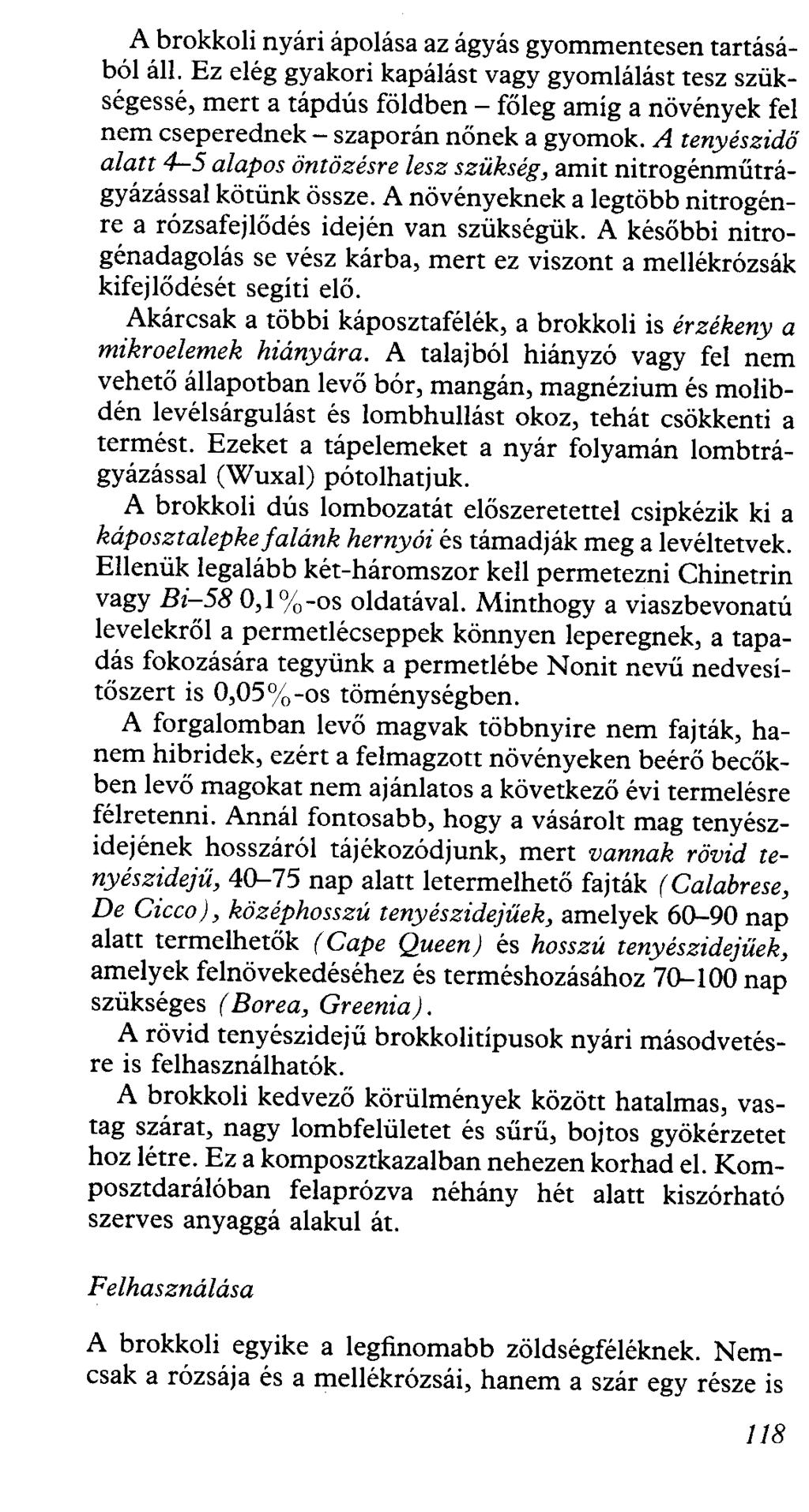 A brokkoli nyári ápolása az ágyás gyommentesen tartásából áll.
