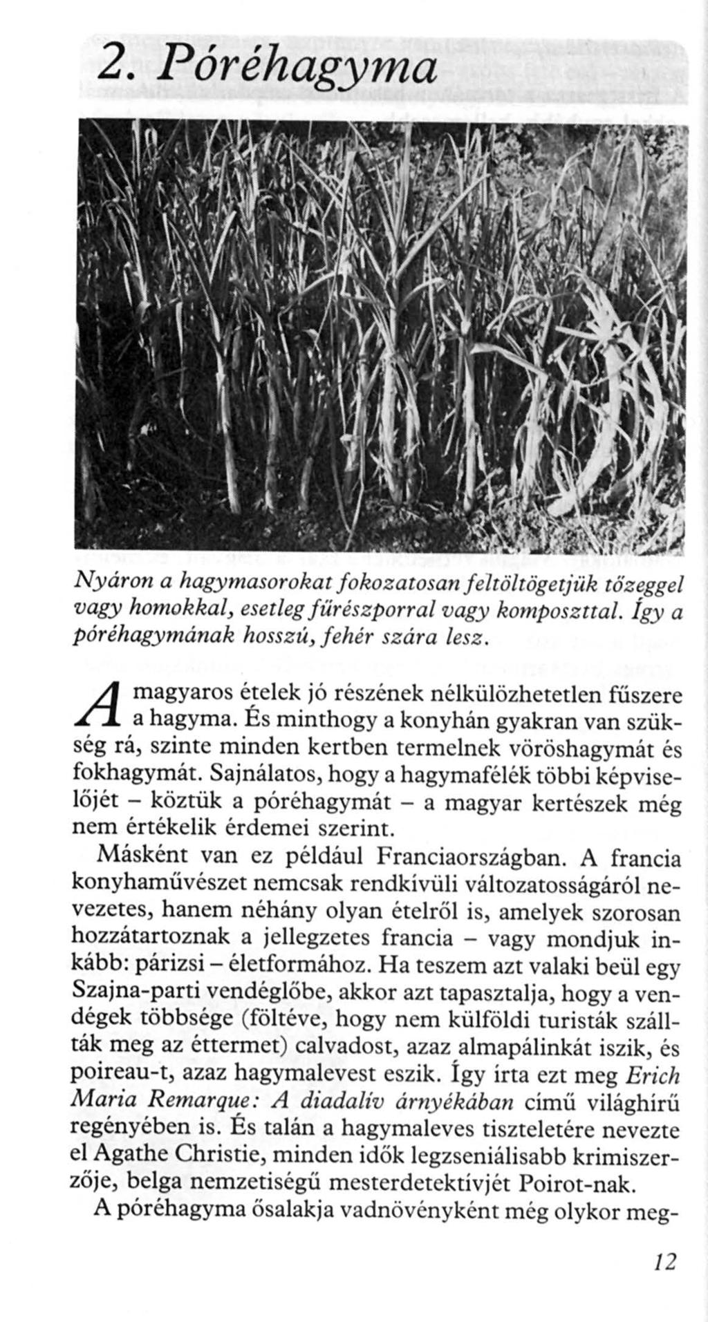 2. Póréhagyma Nyáron a hagymasorokat fokozatosan f eltöltögetjük tőzegge l vagy homokkal, esetleg fűrészporral vagy komposz ua/. Így a póréhagymának hosszú, f ehér szára lesz.