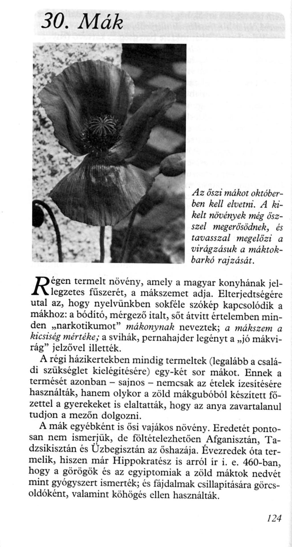 30. Mák R égen Az őszi mákot októberben kell elvetni. A kikelt növények még ősz szel megerősödnek, és tavassz al megelőzi a virágz ásuk a máktokbarkó rajz ását.