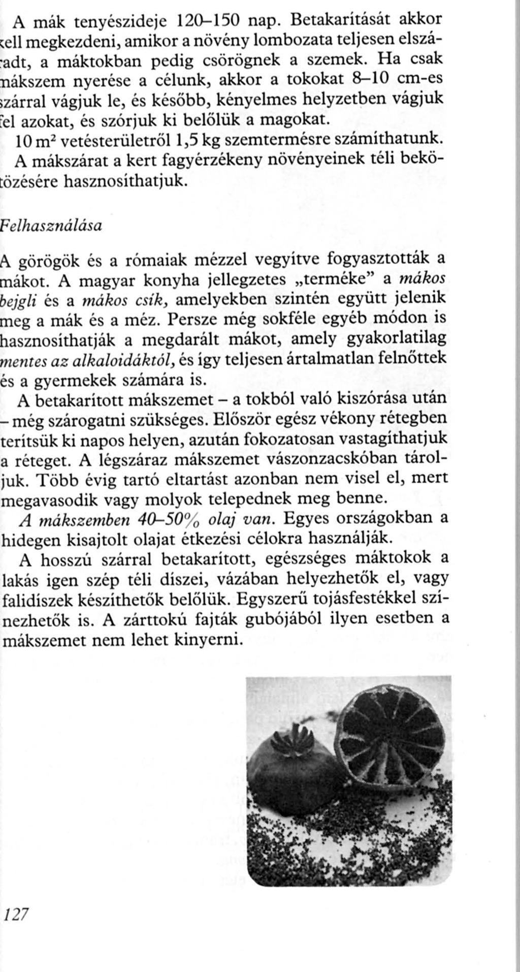 A mák tenyészideje 12~150 nap. Betakadtását akkor ell megkezdeni, amikor a növény lomhozata teljesen elszáadt, a máktokban pedig csörögnek a szemek.