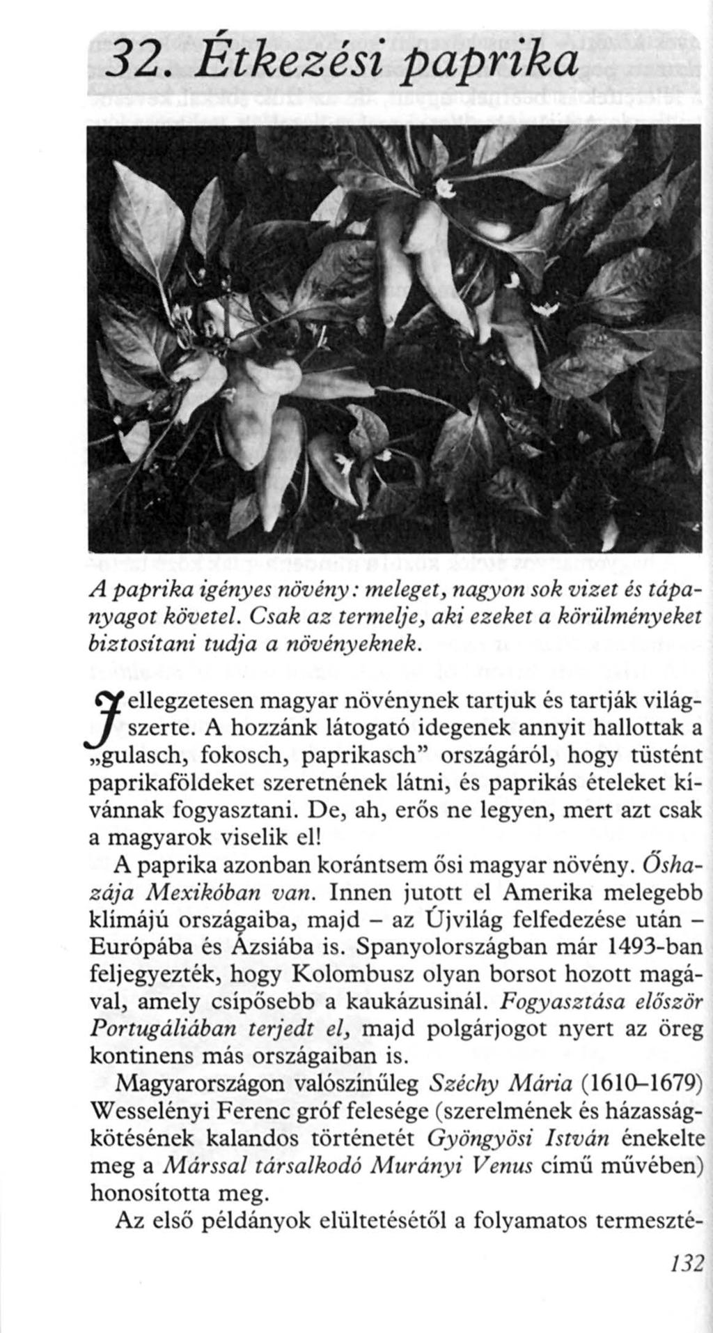 32. Étkezési paprika A paprika igényes növény : meleget, nagy on sok vizet és tápanyagat követel. Csak az termelje, aki ezeket a körülményeket biztositani tudja a növényeknek.