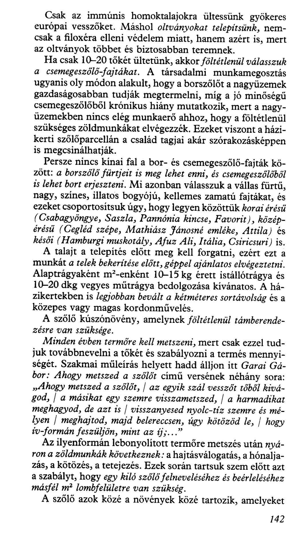Csak az immúnis homoktalajokra ültessünk gyökeres európai vesszőket.