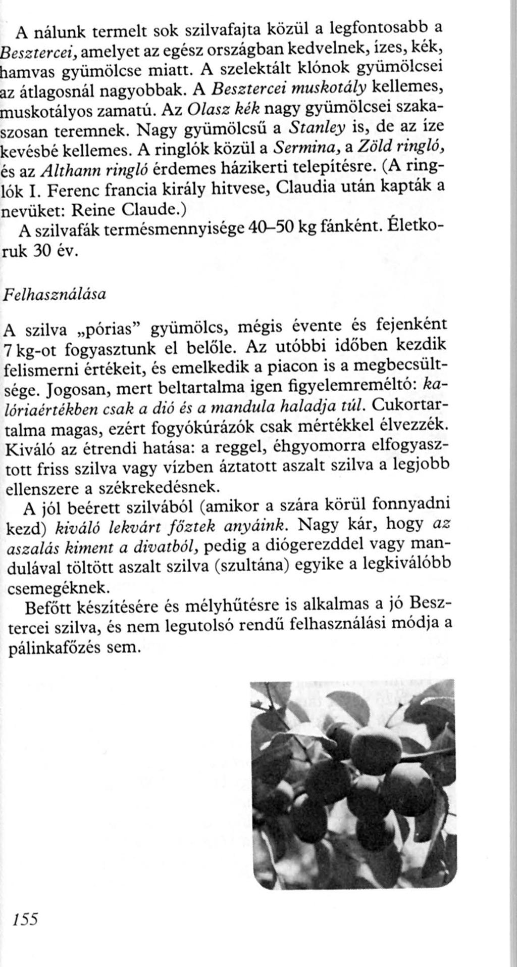 A nálunk termelt sok szilvafajta közül a legfontosabb a esztercei, amelyet az egész országban kedvelnek, ízes, kék, amvas gyümölcse miatt. A szelektájt klónok gyümölcsei z átlagosnál nagyobbak.