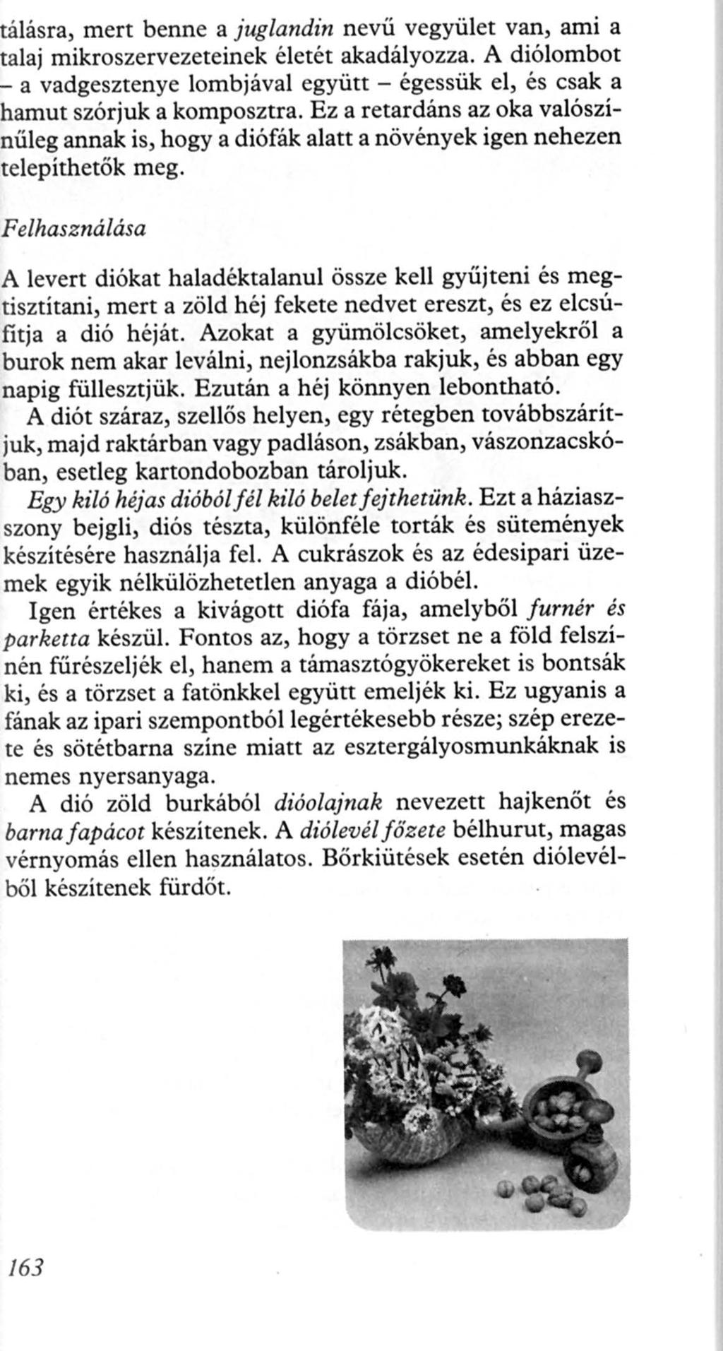 álásra, mert benne a juglandin nevű vegyület van, ami a talaj mikroszervezeteinek életét akadályozza. A diólombot a vadgesztenye lombjával együtt - égessük el, és csak a hamut szórjuk a komposztra.