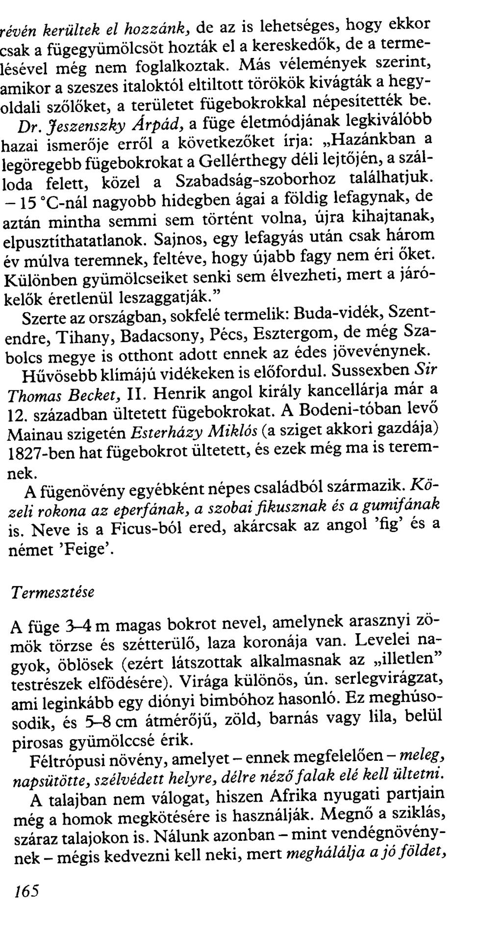 révén kerültek el hozzánk, de az is lehetséges, hogy ekkor sak a fügegyümölcsöt hozták el a kereskedők, de a termeésével még nem foglalkoztak.