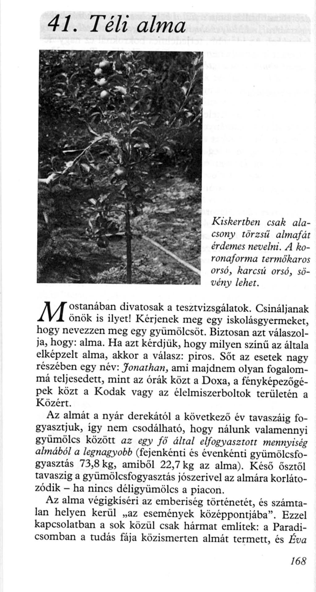 41. Téli alma M Kiskertben csak alacsony törzsű almafát érdemes nevelni. A koronaforma termőkaro s orsó, karcsú orsó, sövény lehet. ostanában divatosak a tesztvizsgálatok. Csináljanak önök is ilyet!