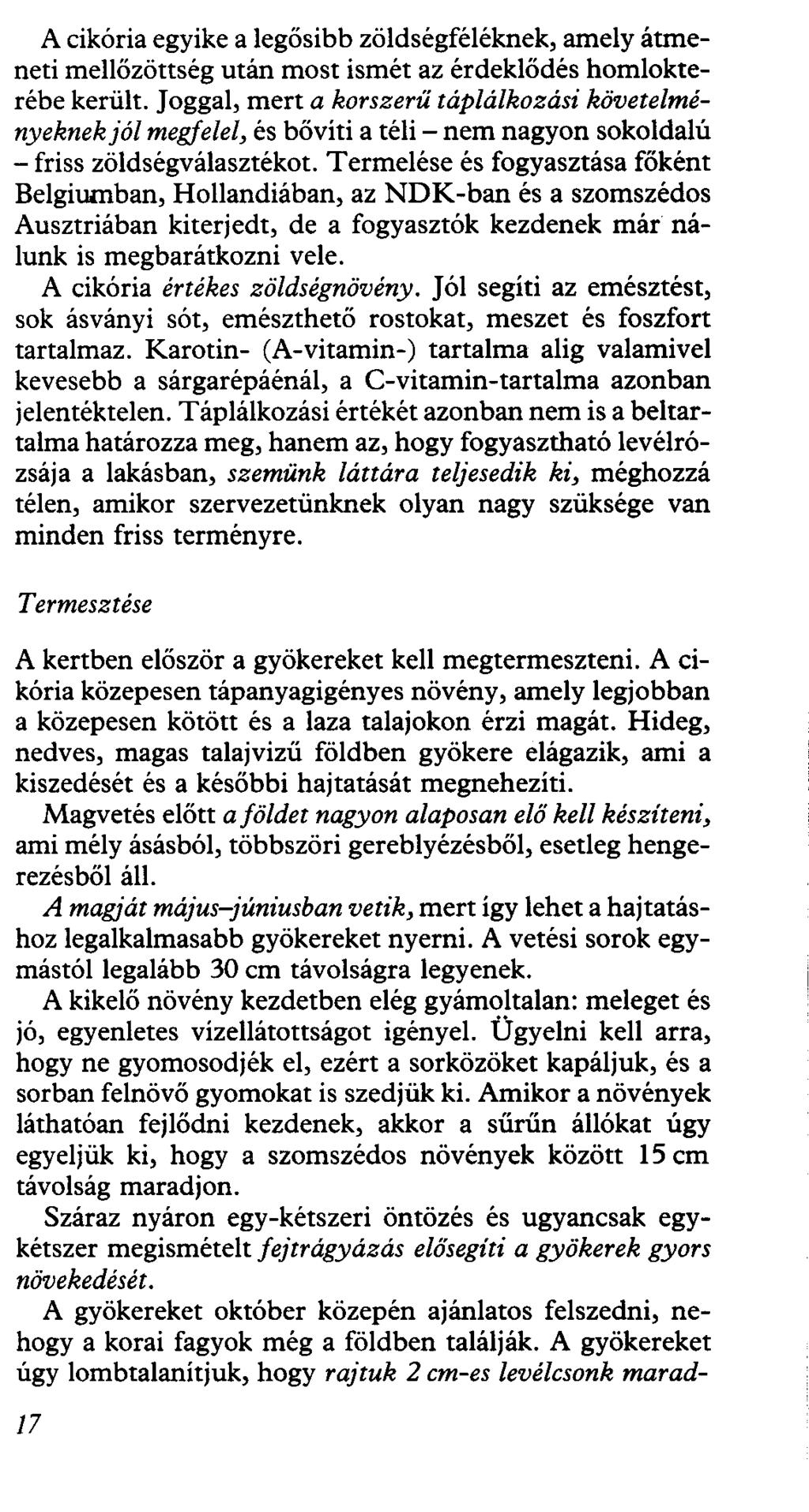 A cikória egyike a legősibb zöldségféléknek, amely átmeneti mellőzöttség után most ismét az érdeklődés homlokterébe került.