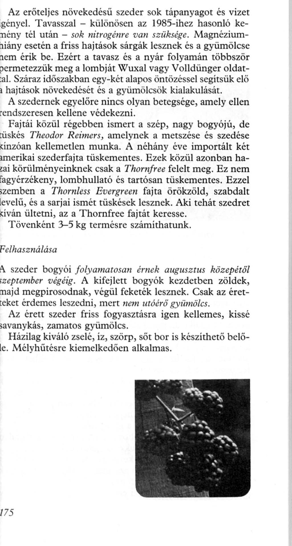 /75 Az erőteljes növekedésü szeder sok tápanyagot és vizet gényel. Tavasszal - különösen az 1985-ihez hasonló keény tél után - sok nicrogénre van szüksége.