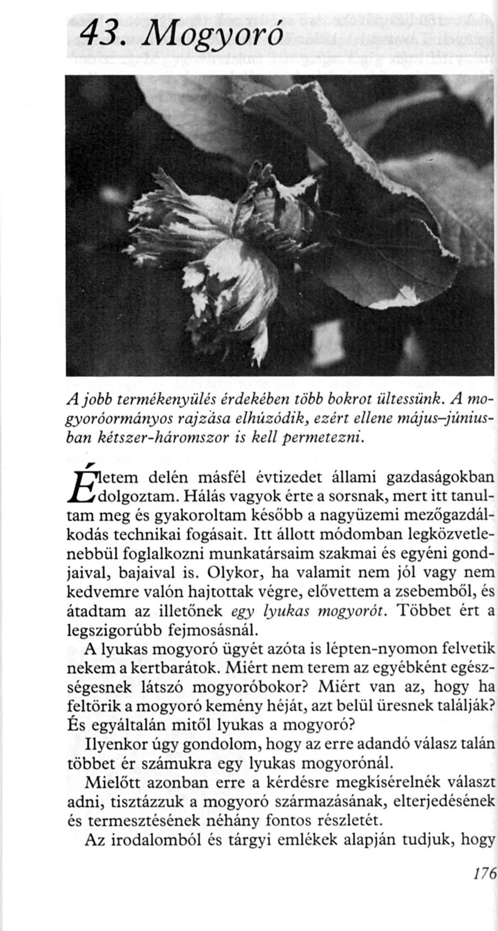 43. Mogyoró 176 A jobb termékenyülés érdekében több bokro t ü/tessünk. A mogyoróormányos rajzasa e/hú zódik, ezért ellene május-júniusban kétszer-háromszor is kell permetezni.