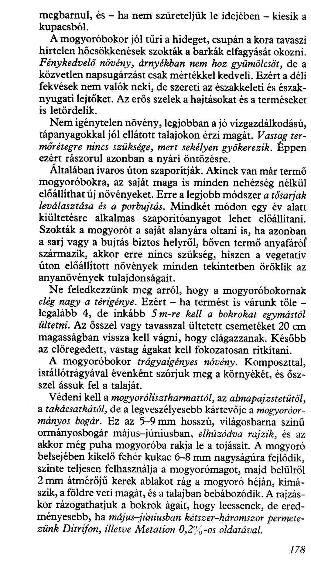 megbarnul, és - ha nem szüreteljük le idejében - kiesik a kupacsból. A mogyoróbokor jól tűri a hideget, csupán a kora tavaszi hirtelen hőcsökkenések szokták a barkák elfagyását okozni.