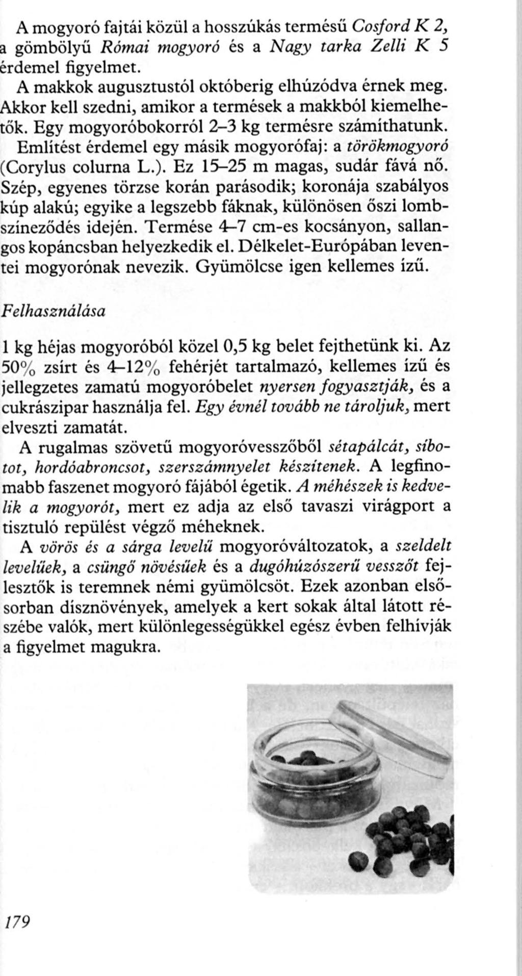 Amogyoró fajtáiközüla hosszúkás termésű Cosford K 2, gömbölyű R ómai mogyoró és a Nagy tarka Zel/i K 5 rdemel figyelmet. A makkok augusztustól októberig elhúzódva érnek meg.