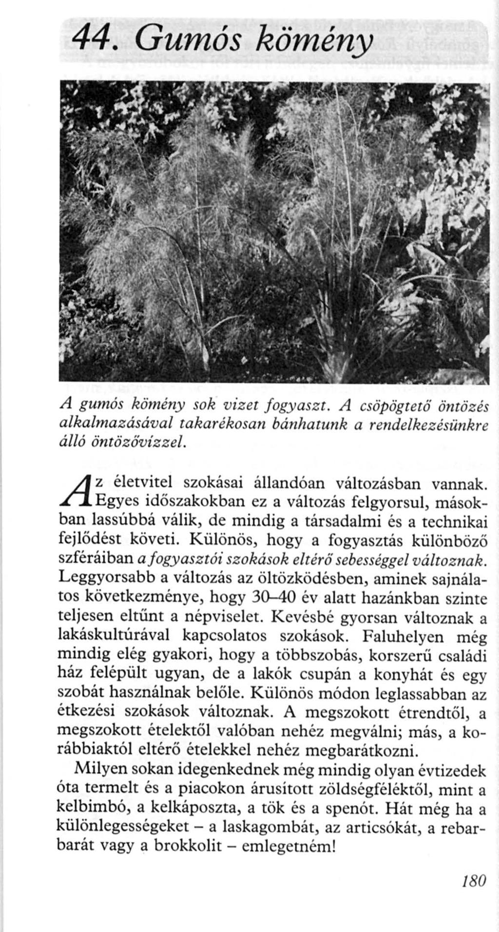44. Gumós kömény A gumós kömény sok vizet. f ogyasz t. A csopogtetö öntözés alkalmaz ásával takarékosan bánhatunk a rendelkezésünkre álló öntözövízzel.