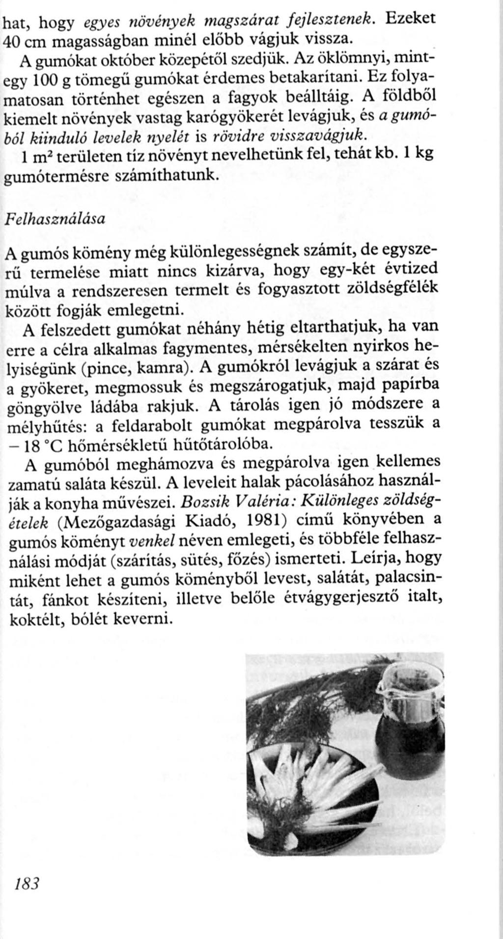 hat, hogy egyes növények magsz árat f ejlesztenek. Ezeket 40 cm magasságban minél előbb vágjuk vissza. A gumókat október közepétől szedjük.