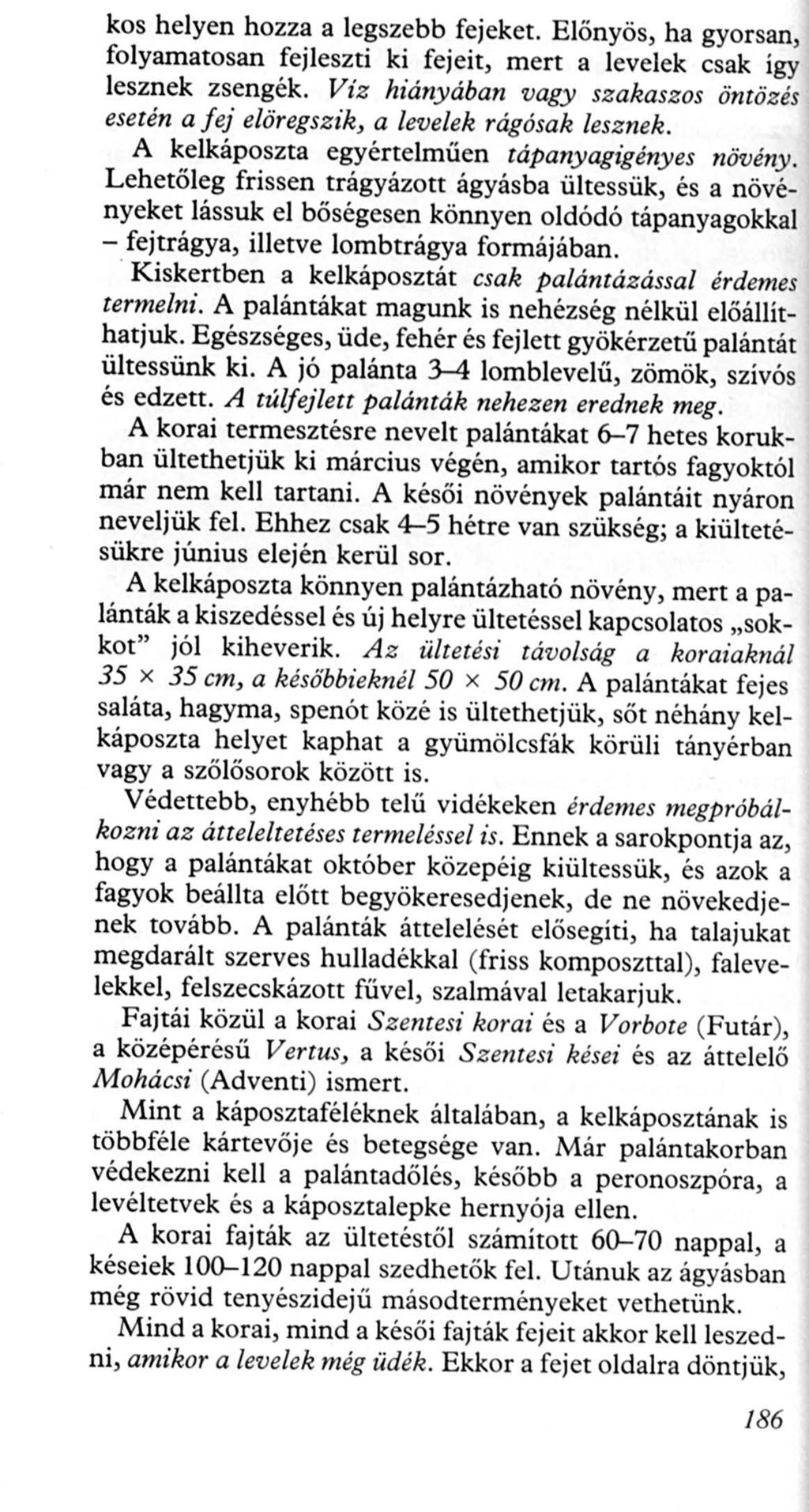 kos helyen hozza a legszebb fejeket. Előnyös, ha gyorsan, folyamatosan fejleszti ki fejeit, mert a levelek csak igy lesznek zsengék.