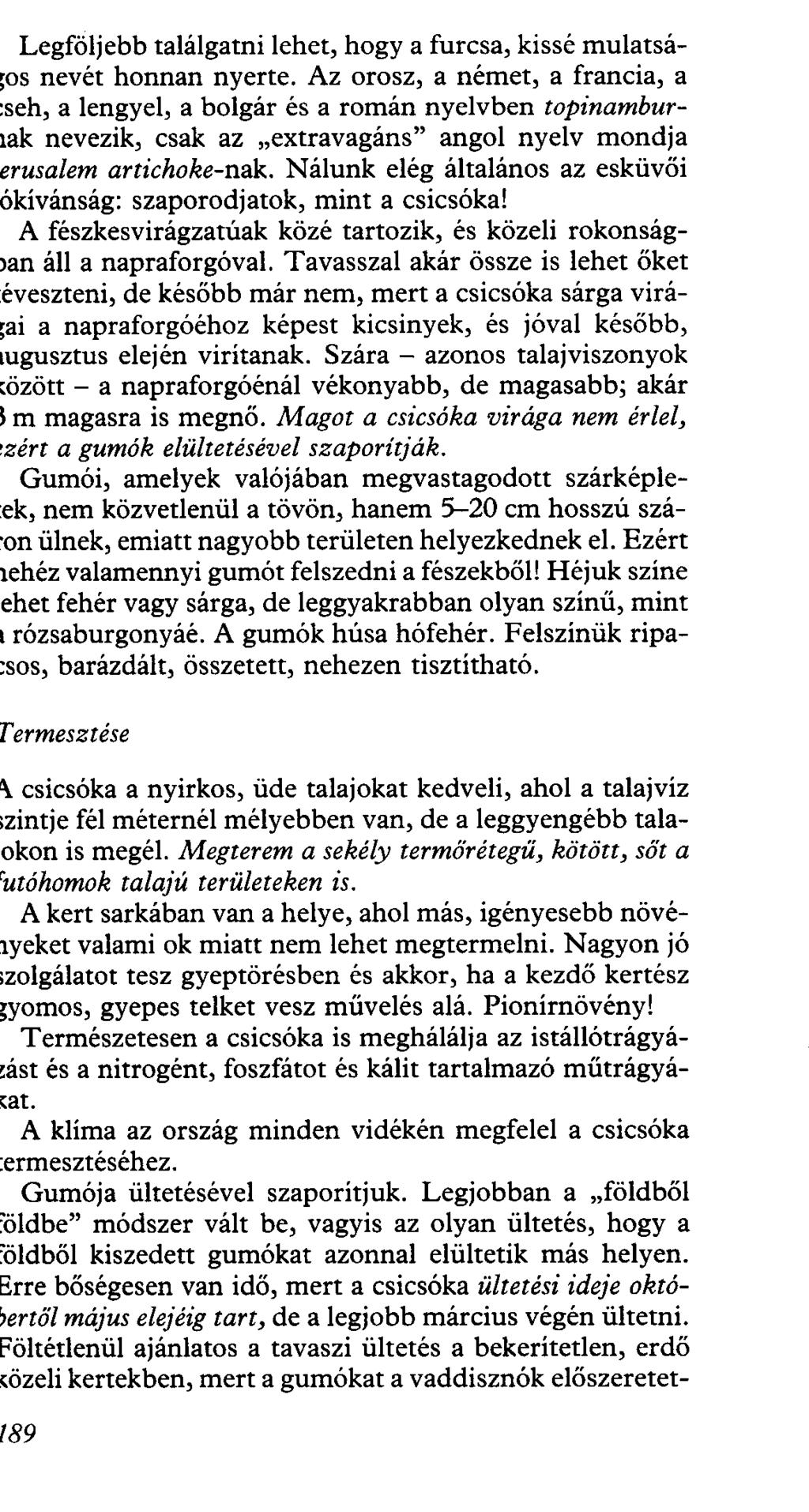 Legföljebb találgatni lehet, hogy a furcsa, kissé mulatsáos nevét honnan nyerte.