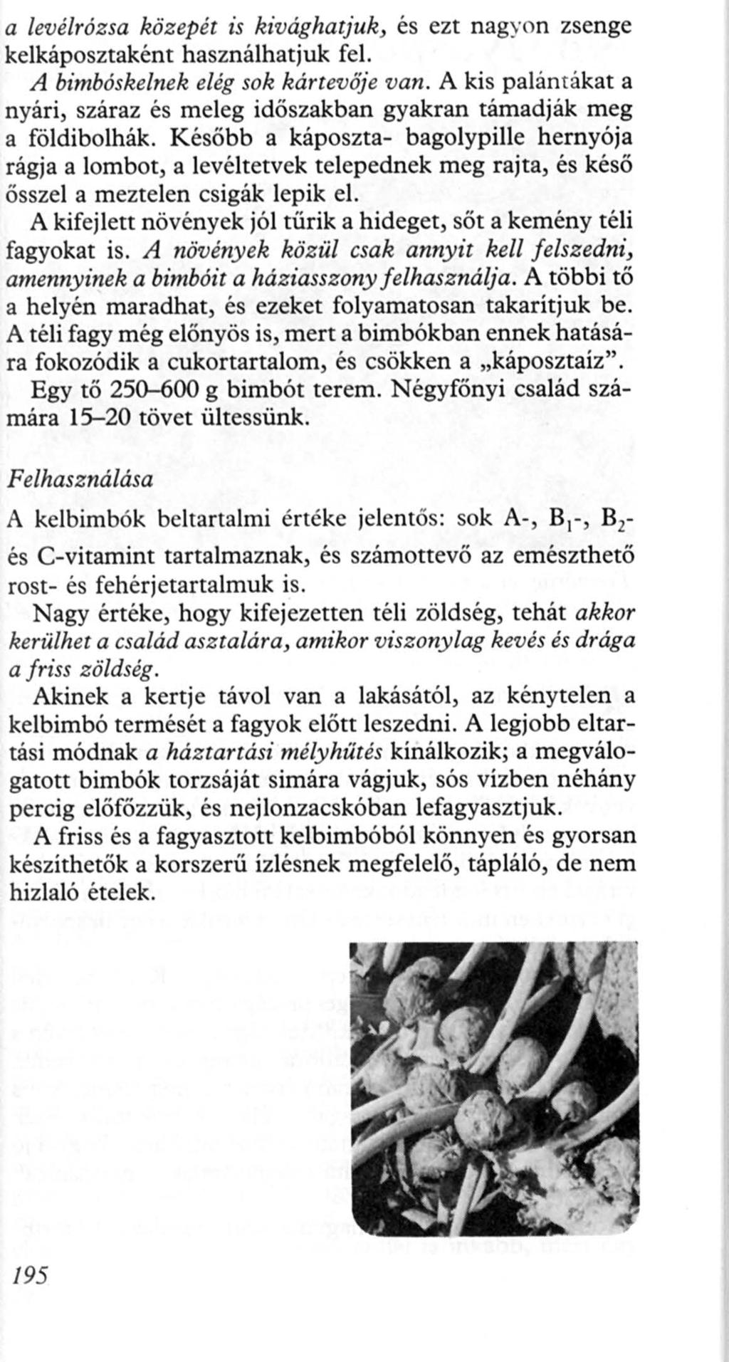 a levélrózsa közepét is kivághatjuk, és ezt nagyon zsenge kelkáposztaként használhatjuk fel. A bimbóskelnek elég sok kártevője van.