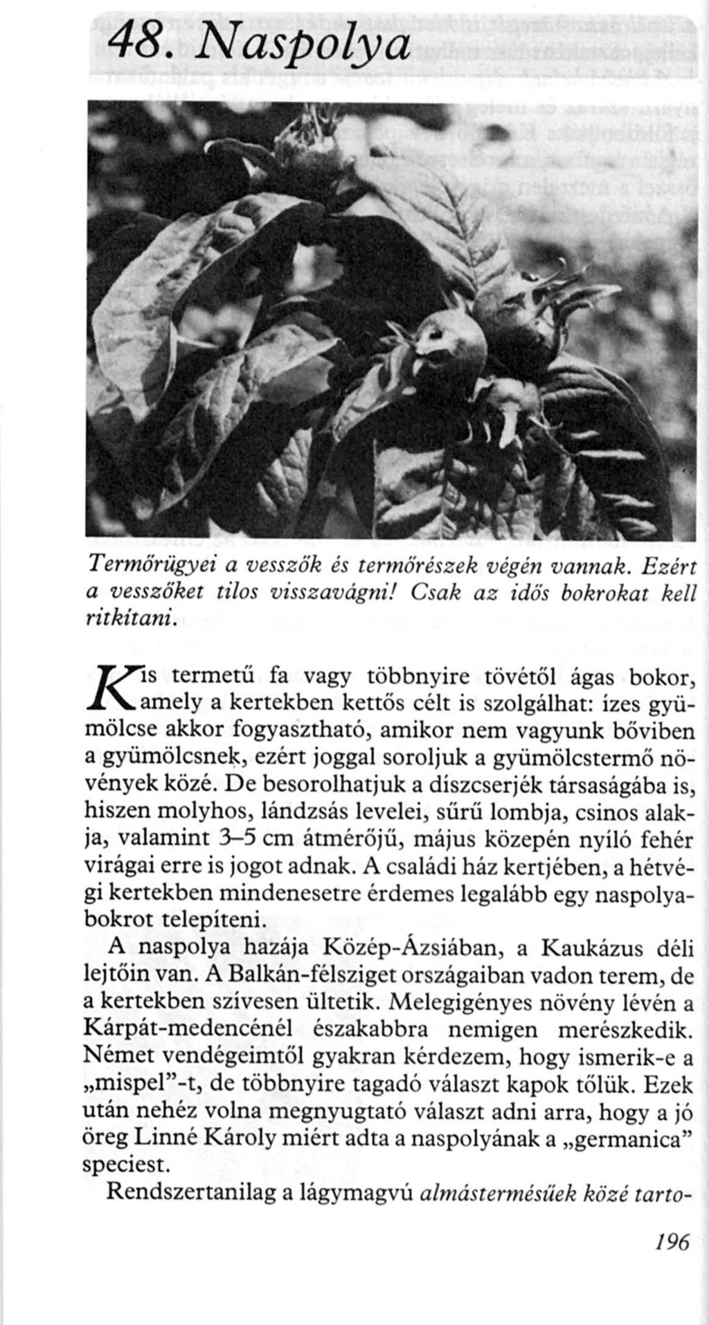 48. N aspolya Termőrügyei a v e sszők és t e rmőr észek végén vannak. Ezért a vesszőket tilos vissz avágnil Csak az idős bokrokat kell ritkít ani. Vis termetű fa vagy többnyire tövétől ágas bokor,.