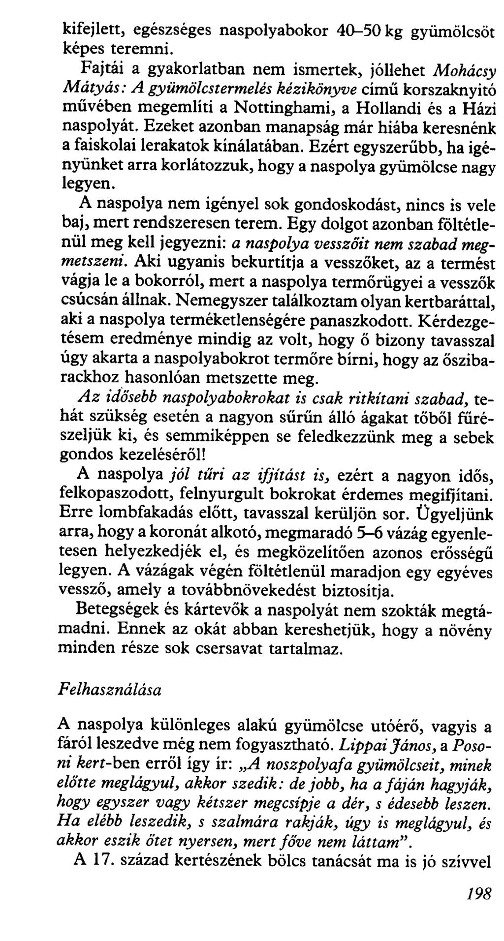 kifejlett, egészséges naspolyabokor 40-50 kg gyümölcsöt képes teremni.