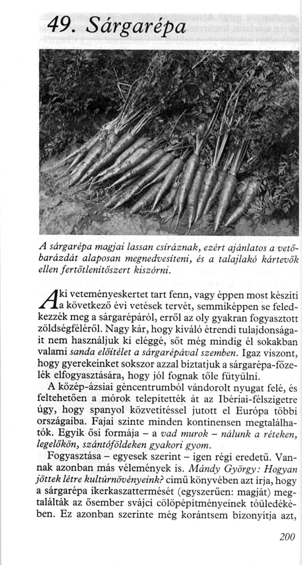 49. Sárgarépa A sárgarépa magjai lassan csiráznak, ezért ajánlatos a vetőbarázdát alaposan megnedvesíteni, és a talajlakó kártevők ellen fertőtlenítőszer t kiszórni.