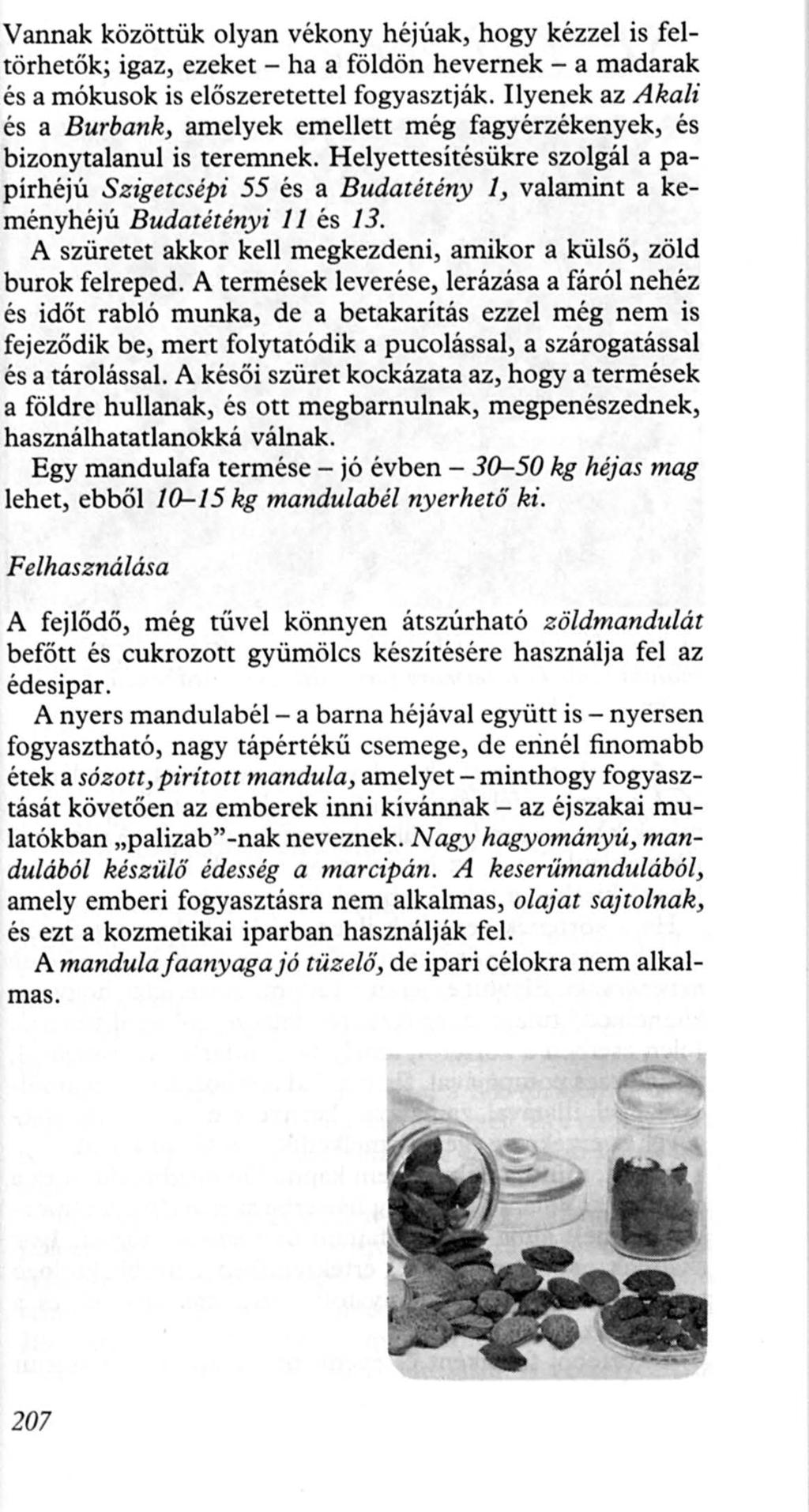 Vannak közöttük olyan vékony héjúak, hogy kézzel is feltörhetők; igaz, ezeket - ha a földön hevernek - a madarak és a mókusok is előszeretettel fogyasztják.