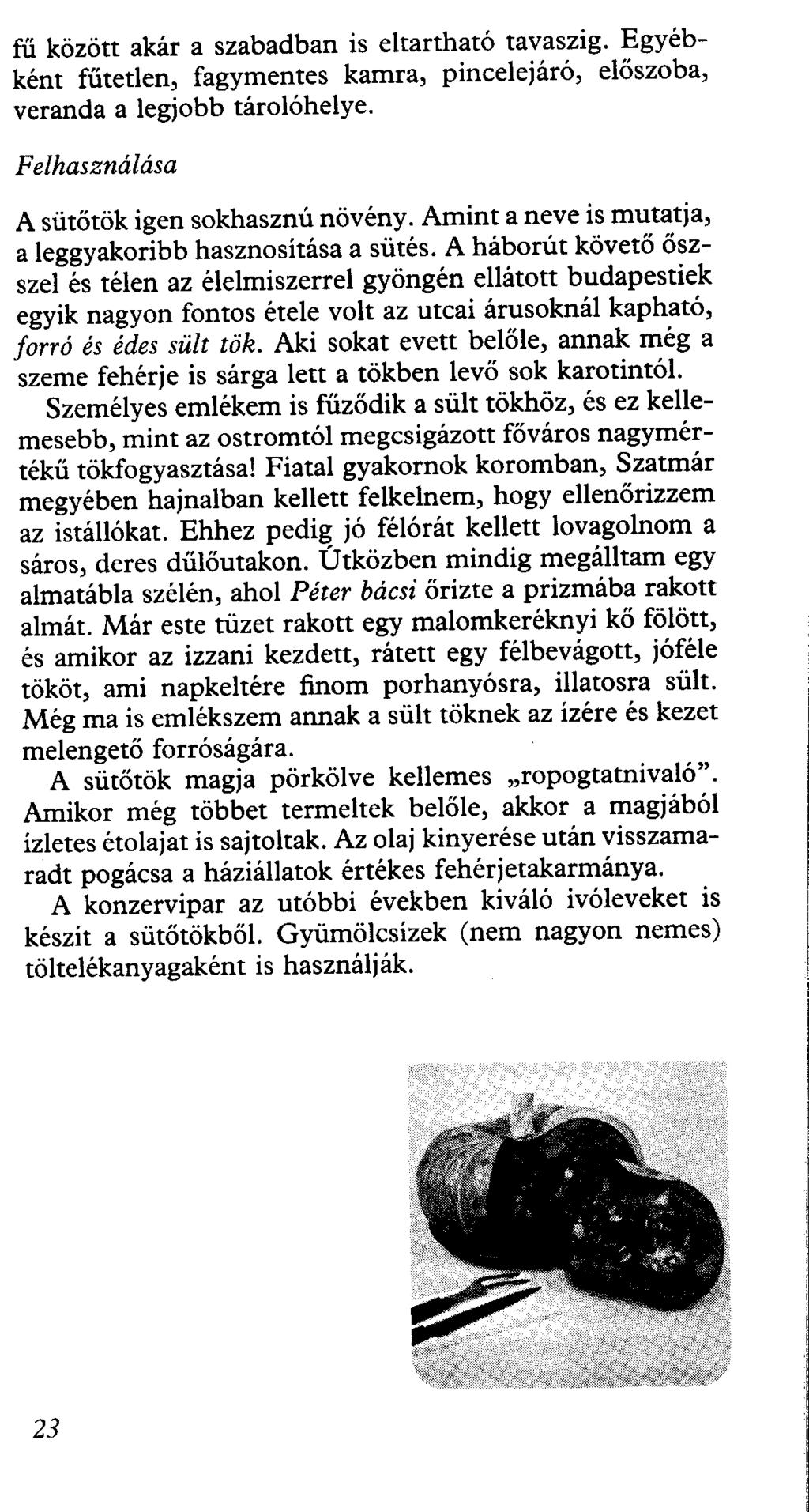fű között akár a szabadban is eltartható tavaszig. Egyébként fűtetlen, fagymentes kamra, pincelejáró, előszoba, veranda a legjobb tárolóhelye. Fe/használása A sütőtök igen sokhasznú növény.