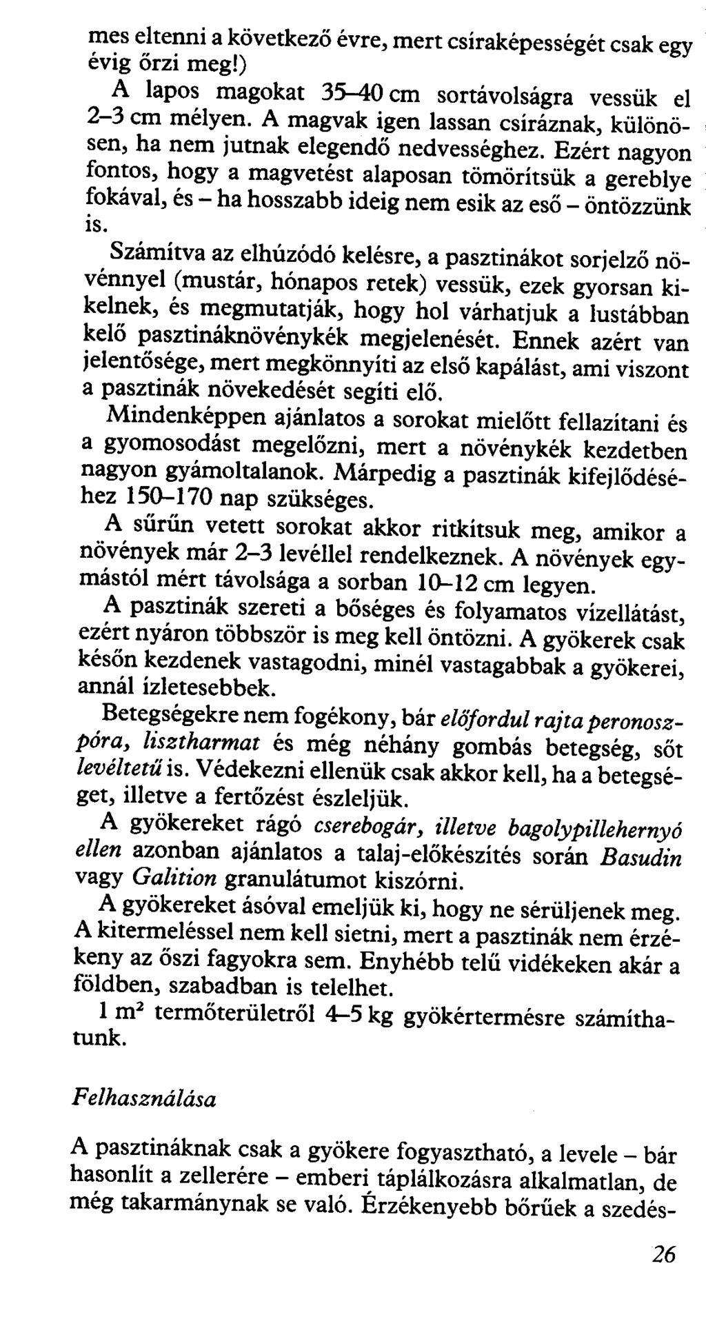 mes eltenni a következő évre, mert csíraképességét csak egy évig őrzi meg!) A lapos magokat 35-40 cm sortávolságra vessük el 2-3 cm mélyen.