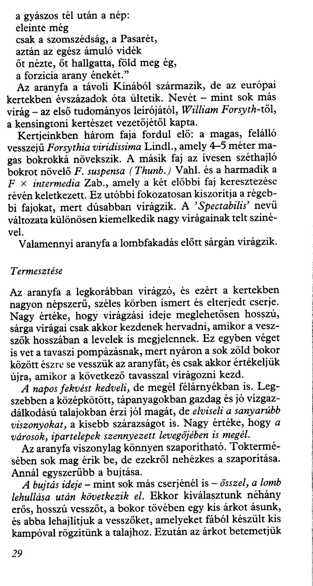 a gyászos tél után a nép: eleinte még csak a szomszédság, a Pasarét, aztán az egész ámuló vidék őt nézte, őt hallgatta, föld meg ég, a forzicia arany énekét.