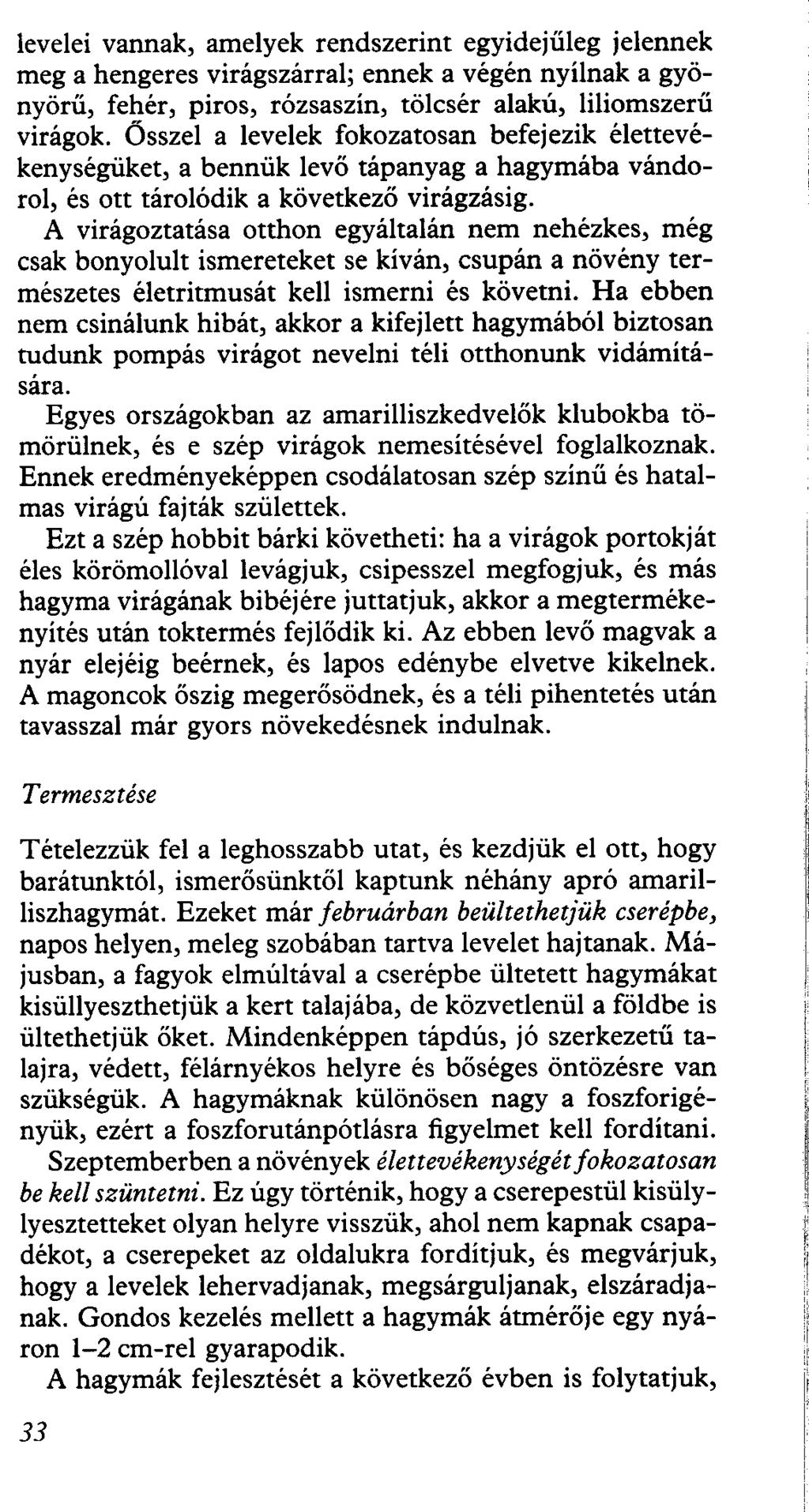 levelei vannak, amelyek rendszerint egyidejűleg jelennek meg a hengeres virágszárral; ennek a végén nyílnak a gyönyörű, fehér, piros, rózsaszín, tölcsér alakú, liliomszerű virágok.