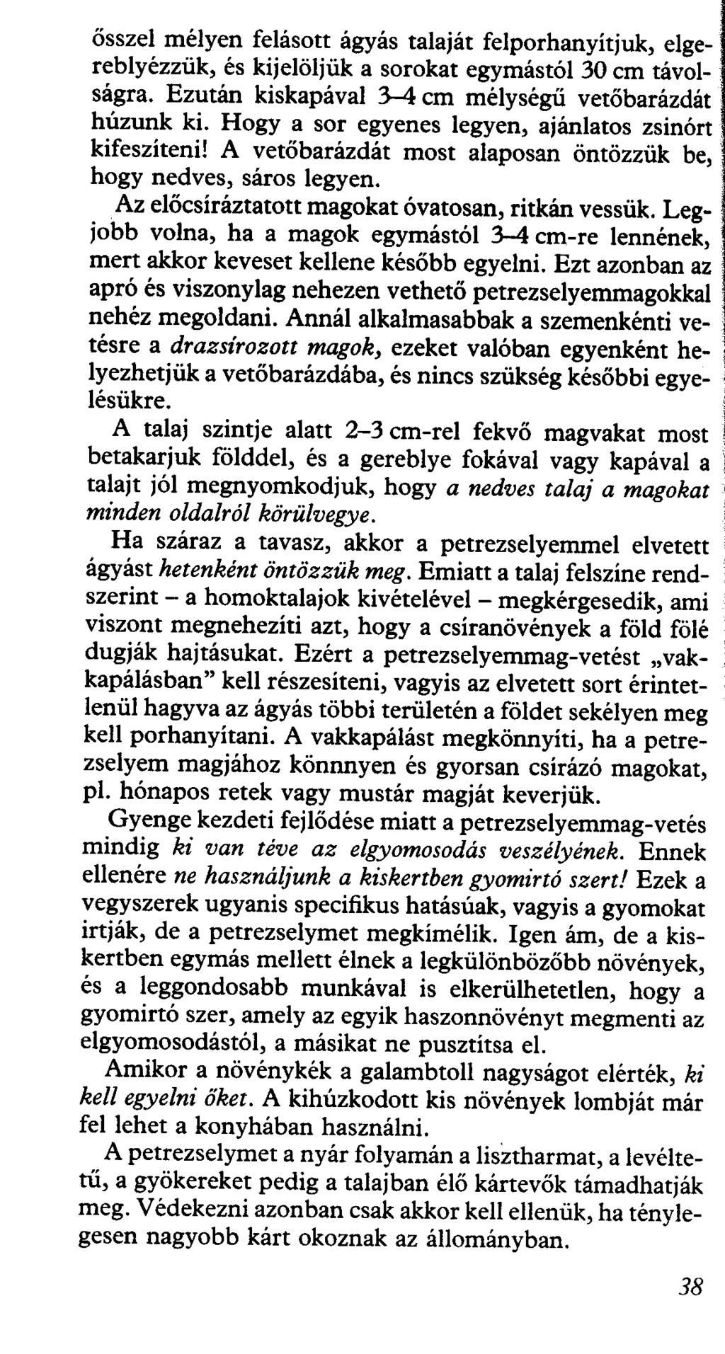 ősszel mélyen felásott ágyás talaját felporhanyítjuk, elgereblyézzük, és kijelöljük a sorokat egymástól 30 cm távolságra. Ezután kiskapával 3-4 cm mélységű vetőbarázdát húzunk ki.