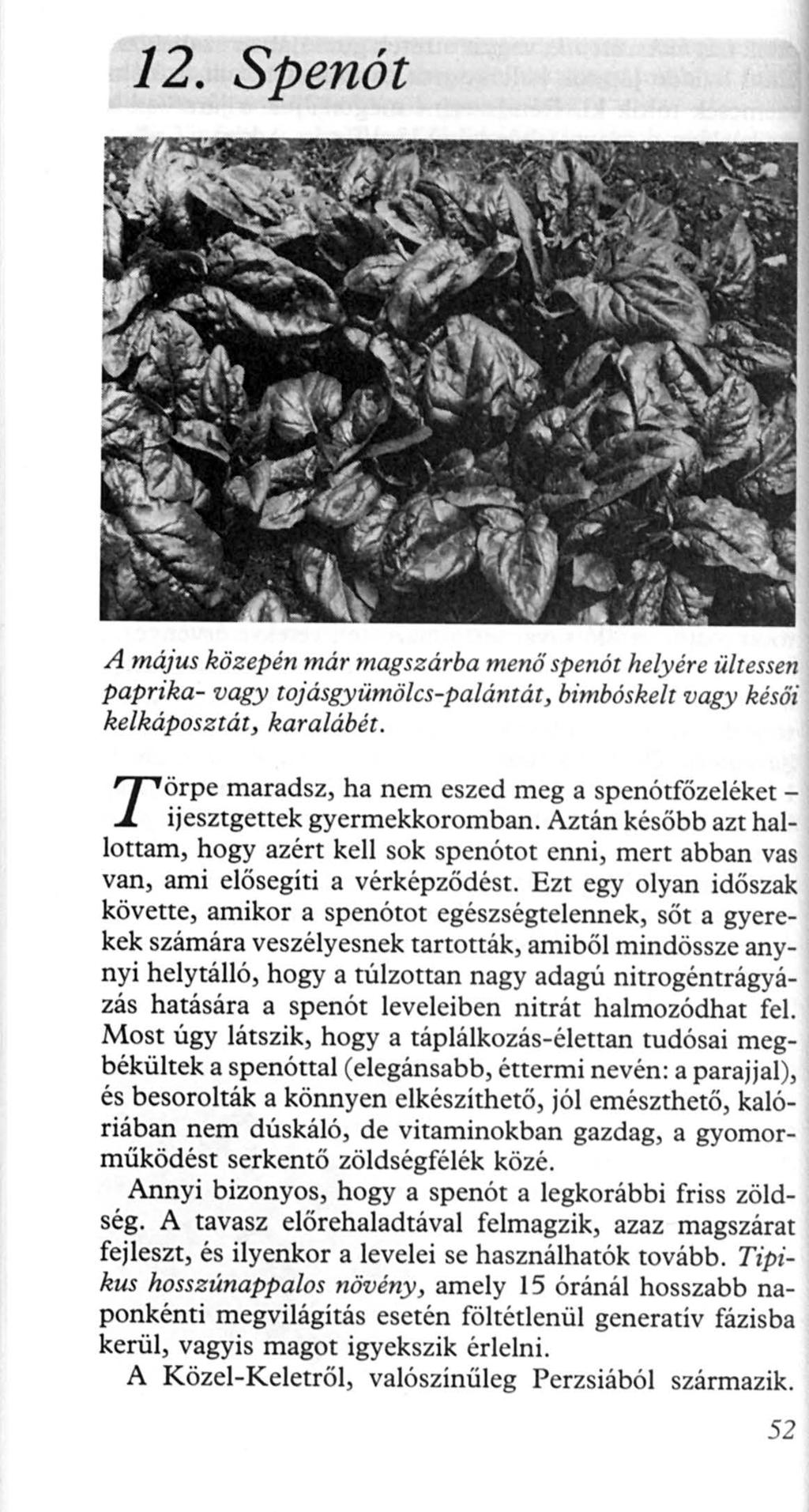 12. Spenót A május közepén már magszárba menő spenót helyére ültessen paprika- vagy tojásgyümölcs-palántát, bimbóskelt vagy k ésői ke/káposztát, karalábét.