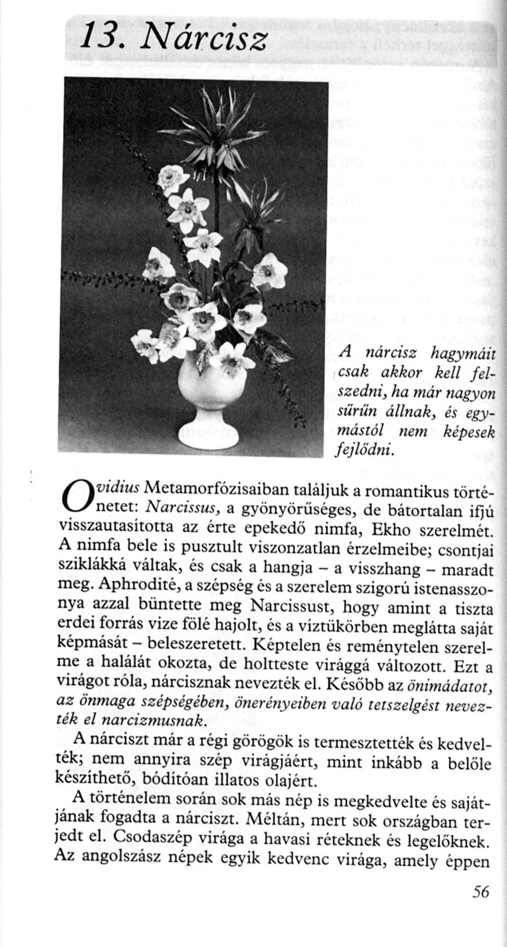 13. Nárcisz O vidius A nárcisz hagymáit csak akkor kell felszedni, ha már nagyon sűrűn állnak, és egymástól nem képesek fejlődni.