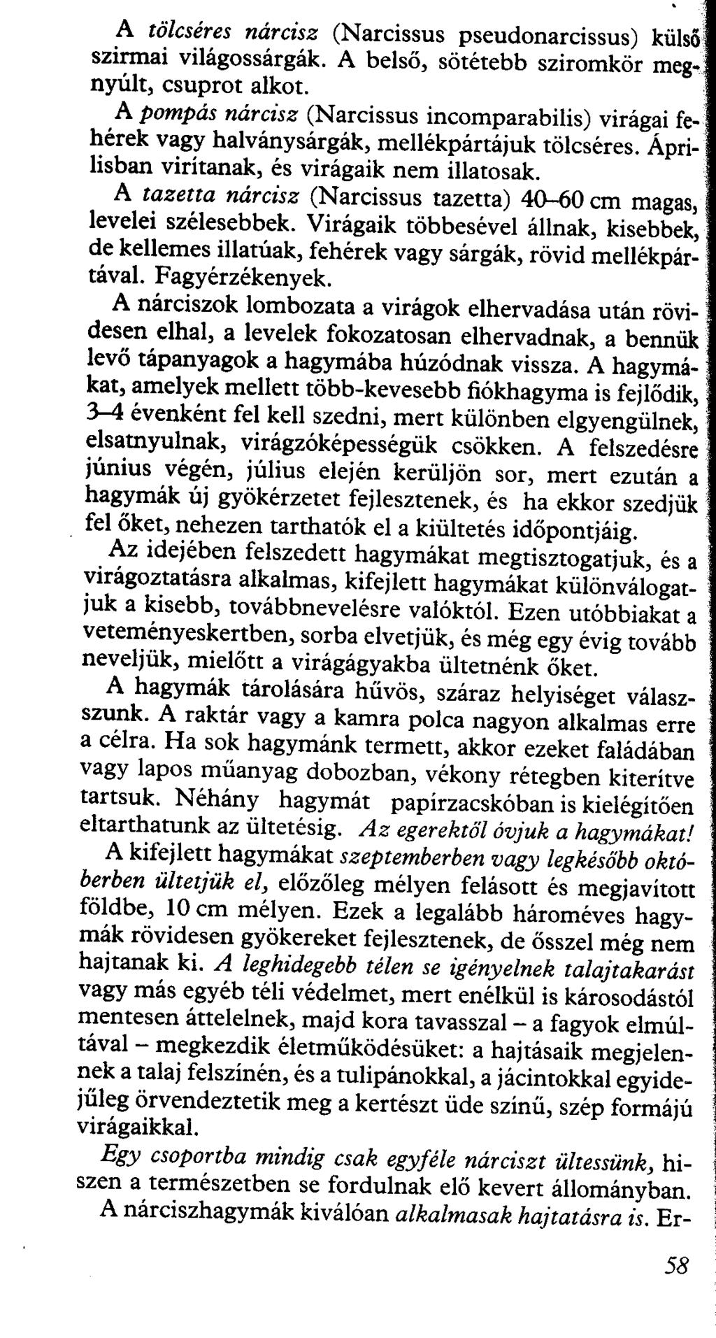 A tölcséres narczsz (Narcissus pseudonarcissus) külsö szirmai világossárgák. A belső, sötétebb sziromkör megnyúlt, csuprot alkot.
