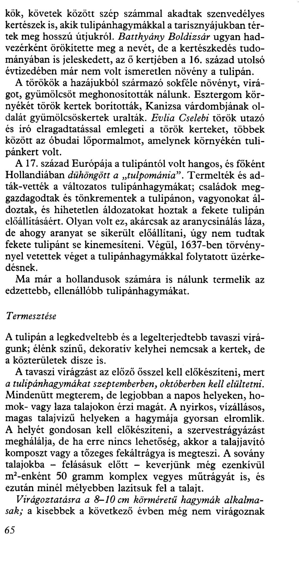 kök, követek között szép számmal akadtak szenvedélyes kertészek is, akik tulipánhagymákkal a tarisznyájukban tértek meg hosszú útjukról Batthyány Boldizsár ugyan hadvezérként örökítette meg a nevét,