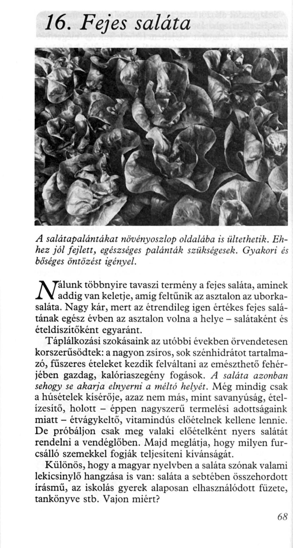16. Fejes saláta A salátapalántákat növényoszlop oldalába is ültethetik. Ehhez jól fejlett, egészséges palánták szükségesek. Gyakori és bőséges öntözést igényel.