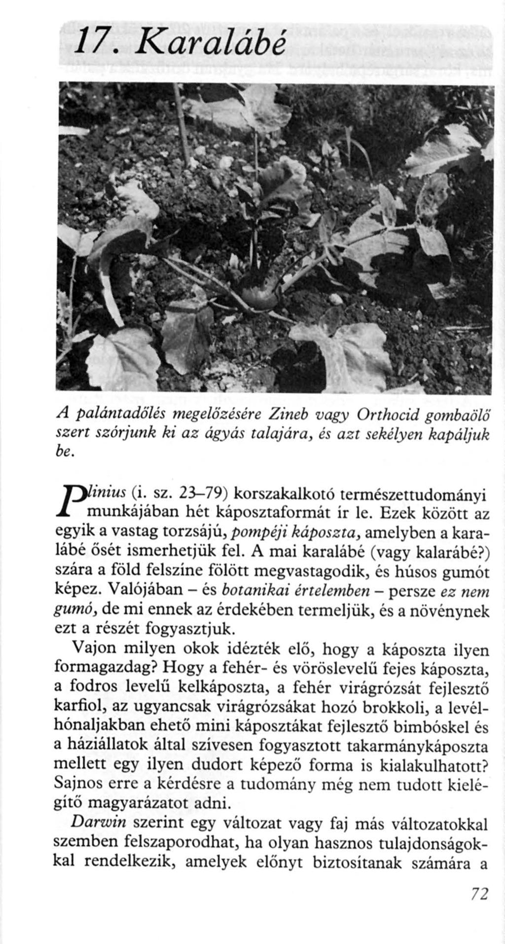 17. Karalábé A palántadőlés m ege lőzés é re Zineb vagy Orthocid gombaölő szert szórjunk ki az ágyás talajára, és az t sekélyen kapáljuk be. T)linius (i. sz. 23--79) korszakalkotó természettudományi J.