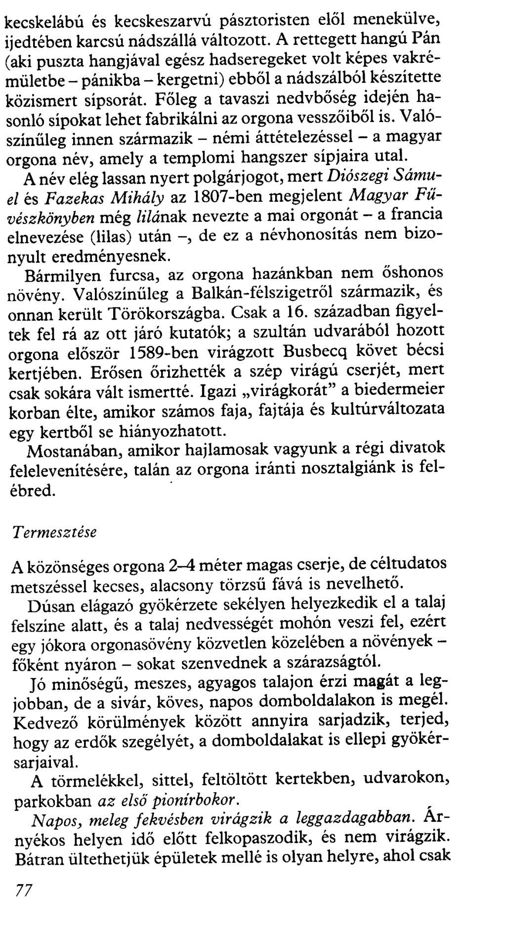 kecskelábú és kecskeszarvú pásztoristen elől menekülve, ijedtében karcsú nádszállá változott.