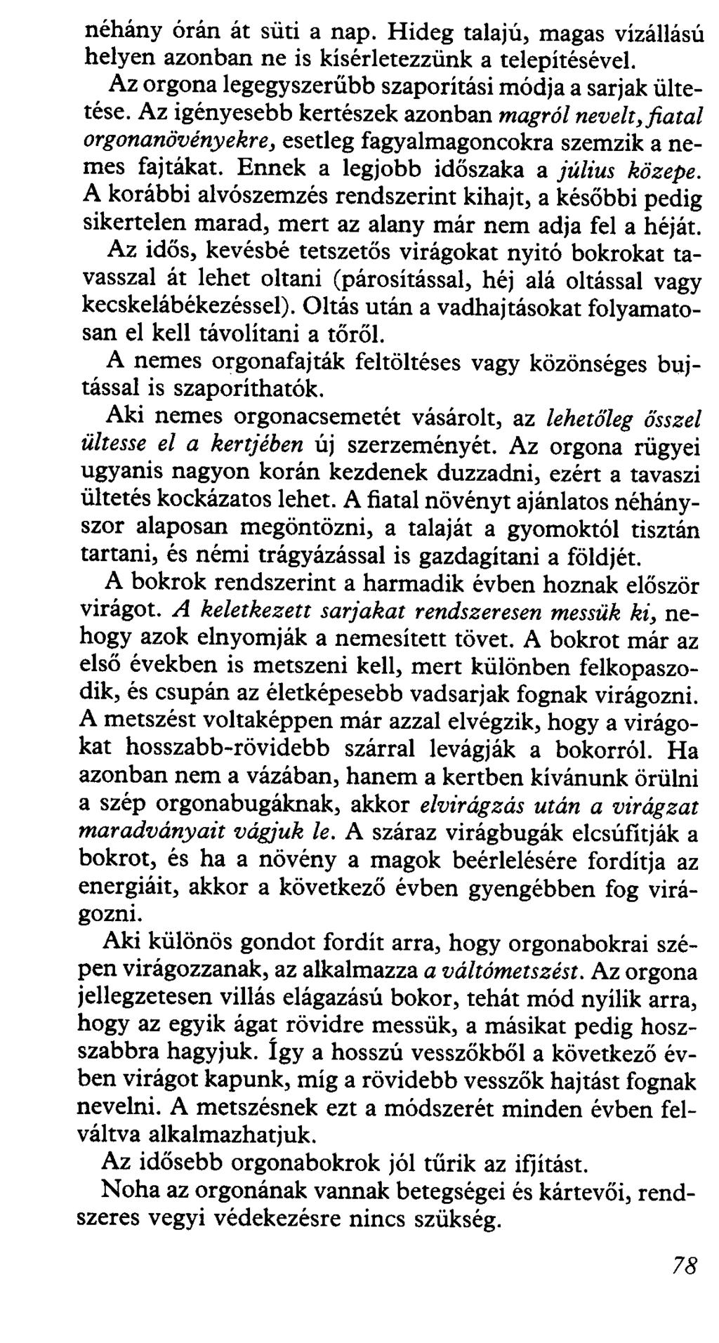 néhány órán át süti a nap. Hideg talajú, magas vízállású helyen azonban ne is kísérletezzünk a telepítésével Az orgona legegyszerűbb szaporítási módja a sarjak ültetése.
