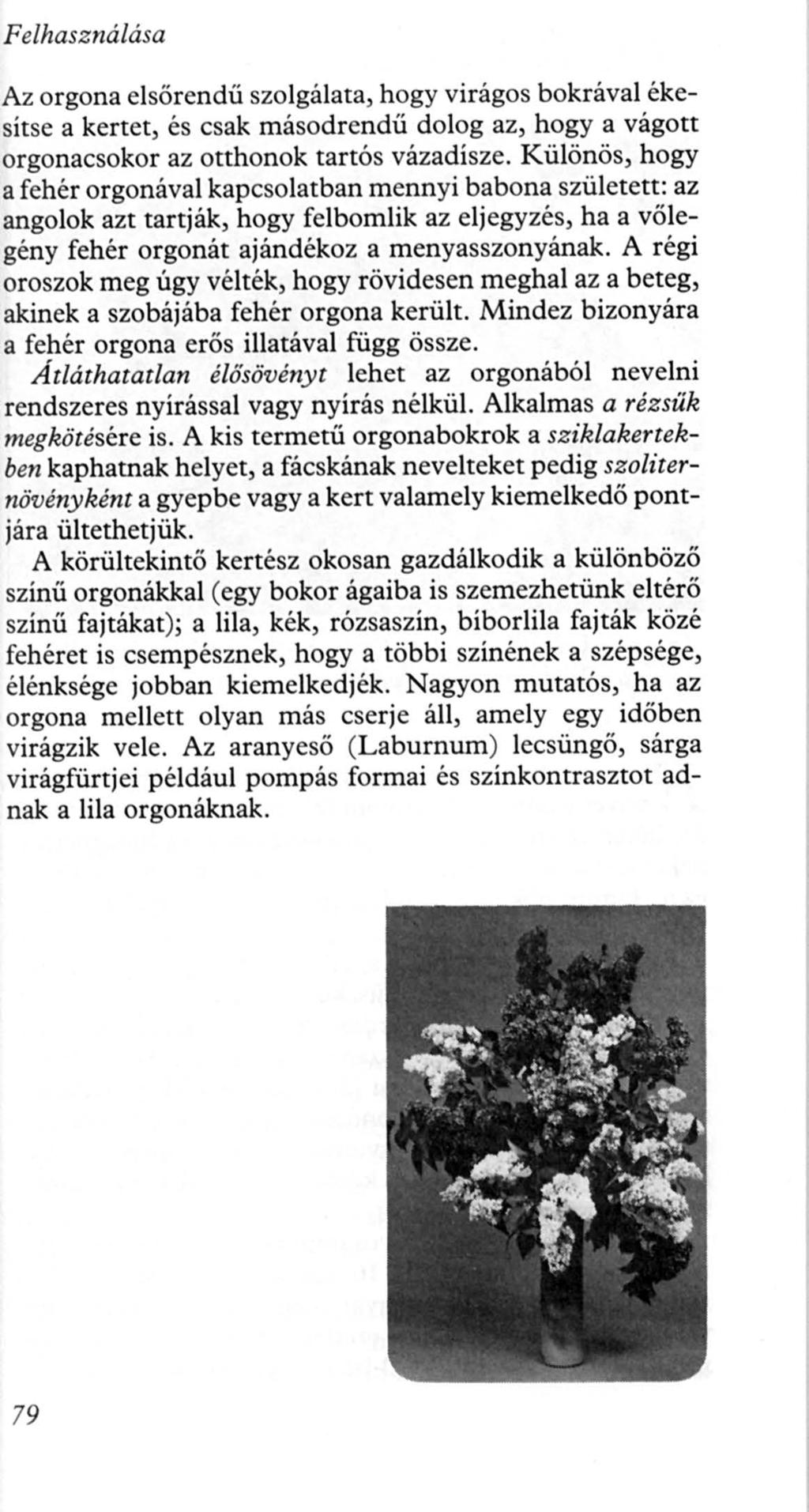 Felhasz nálása Az orgona elsőrendű szolgálata, hogy virágos bokrával ékesítse a kertet, és csak másodrendű dolog az, hogy a vágott orgonacsokor az otthonok tartós vázadísze.