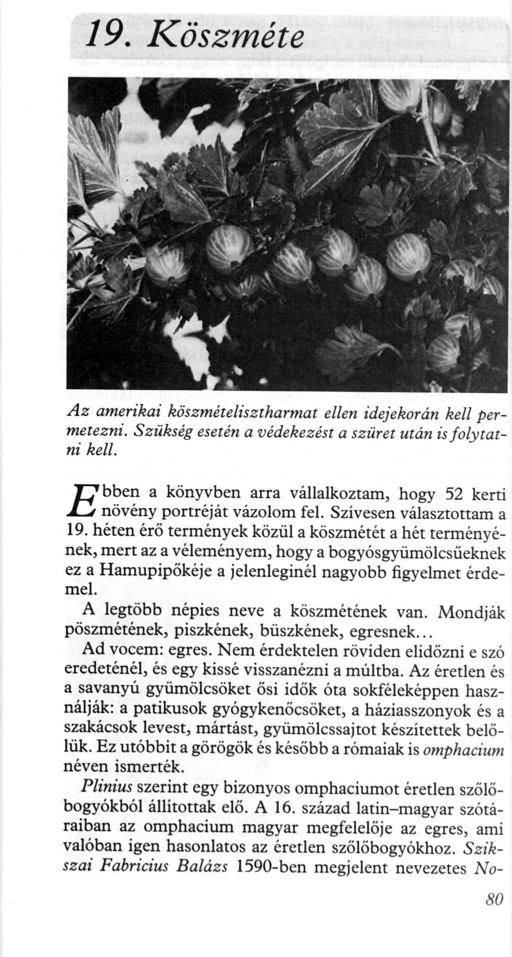 19. K öszméte Az amerikai köszmételisztharmat ellen idejekorán kell permetezni. Szükség esetén a védekezést a szüret után is folytatni kell.