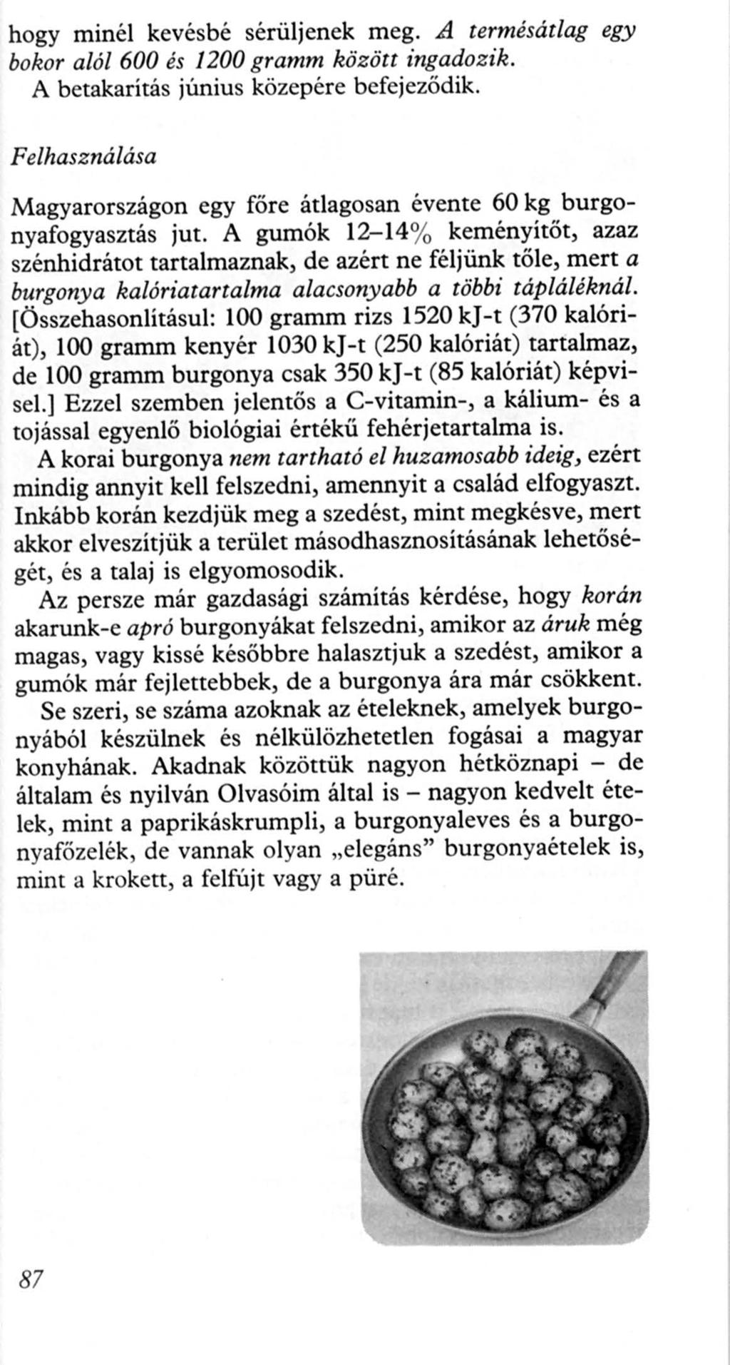 hogy minél kevésbé sérüljenek meg..d termésátlag egy bokor alól 600 és 1200 gramm között ingadozik. A betakarítás június közepére befejeződik.